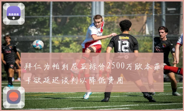 拜仁为帕利尼亚标价2500万欧本菲卡欲延迟谈判以降低费用