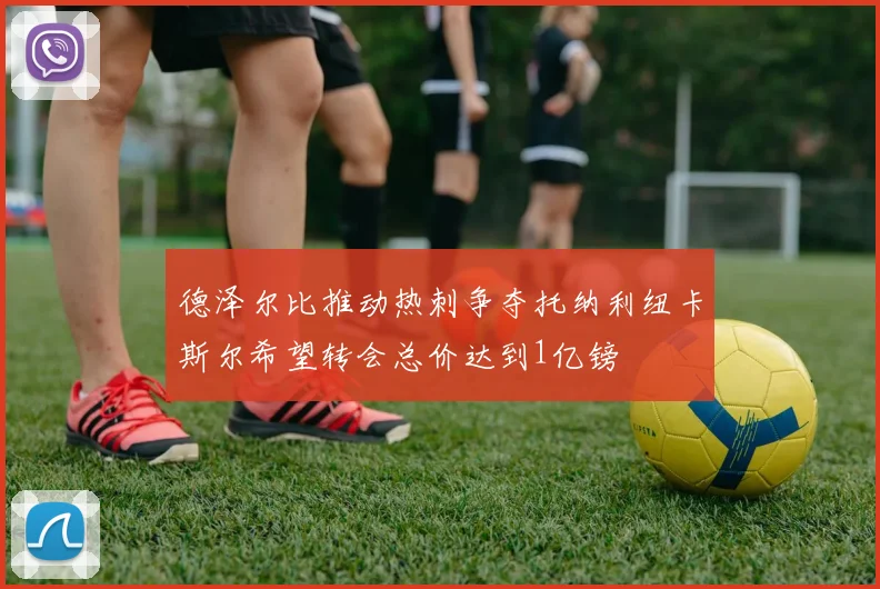 德泽尔比推动热刺争夺托纳利纽卡斯尔希望转会总价达到1亿镑