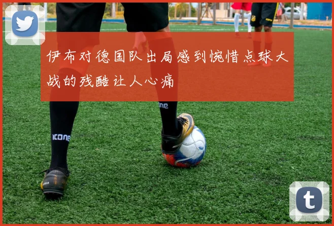 伊布对德国队出局感到惋惜点球大战的残酷让人心痛